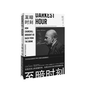 至暗时刻 : 力挽狂澜的丘吉尔  人文社科