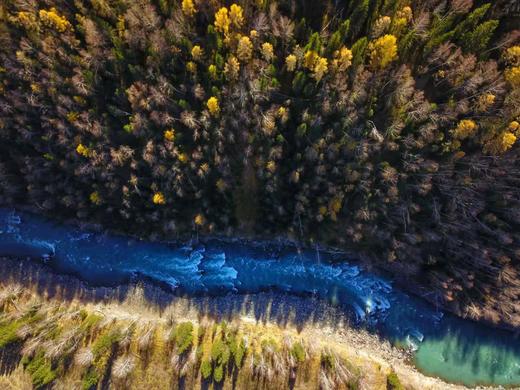 蔓峰定制 商品图1