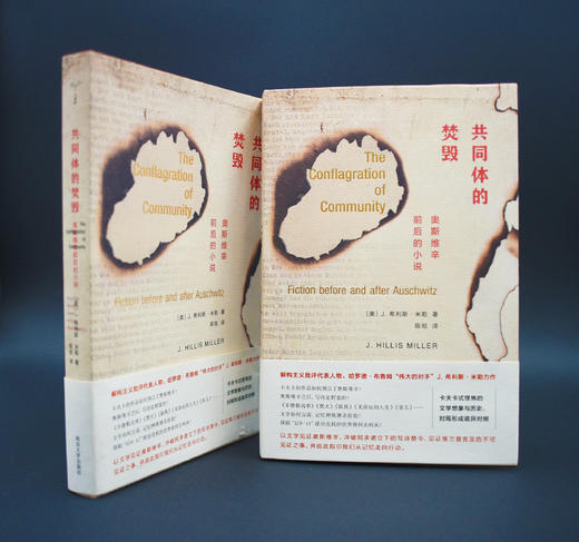 共同体的焚毁：奥斯维辛前后的小说 商品图2