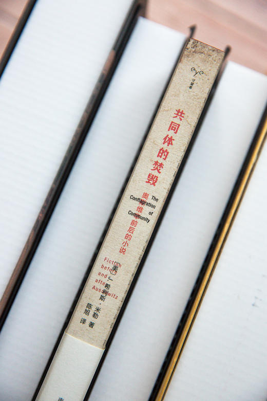 共同体的焚毁：奥斯维辛前后的小说 商品图3