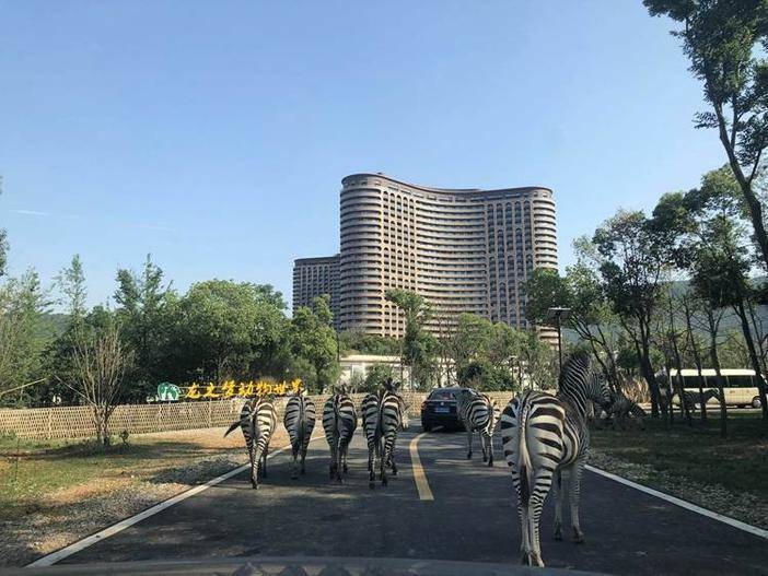 【上海大巴接送】湖州龍之夢鑽石酒店豪華房 龍之夢動物園門票 圖影