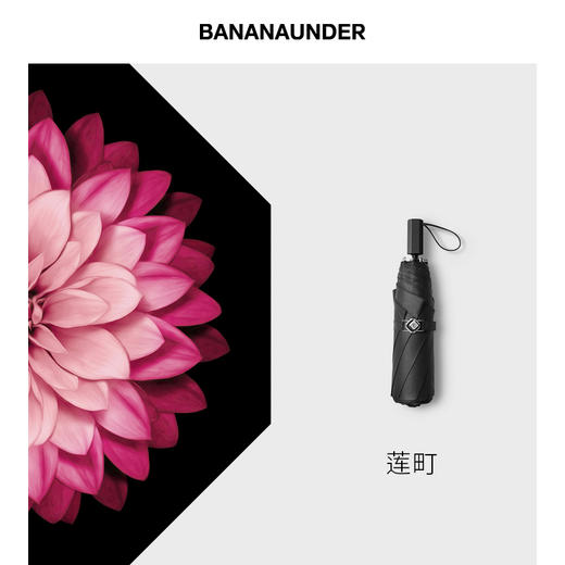 小黑伞250线系列遮阳伞雨伞 商品图1