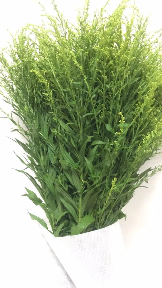 配花-云南黄莺40枝 商品图0