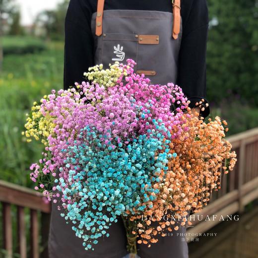 【七彩满天星】一扎约400g/份    可做干花保存 商品图0