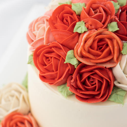 0934韩国豆沙红玫瑰韩花白底女朋友老婆闺蜜纪念日情人节结婚周年