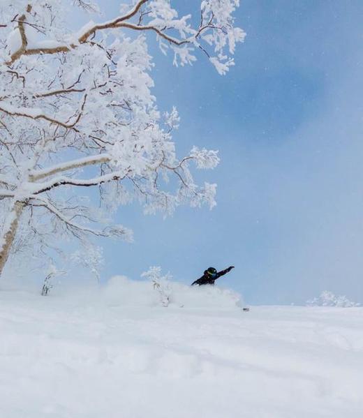 【定金】白色圣诞”日本北海道富良野6日5晚滑雪之旅12月21日出发 商品图1