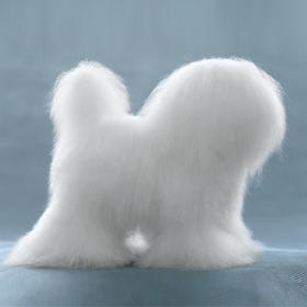 模特狗贵宾全身毛 - 白羊毛  OPAWZ小爪印