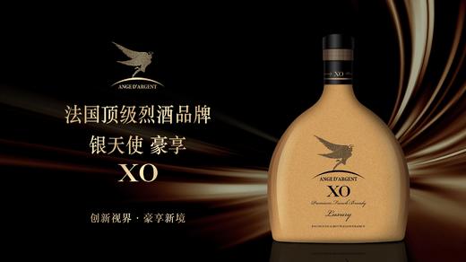 银天使豪享xo白兰地