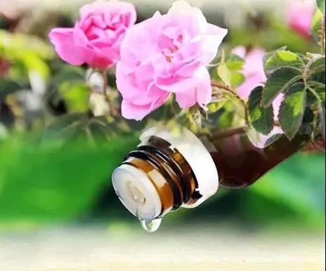30000朵大马士革玫瑰提取出的神奇精油，伊朗barij大马士革玫瑰精油 口服级别 内调美容抗皱嫩肤提亮紧致，喝完打嗝都是香的 商品图4