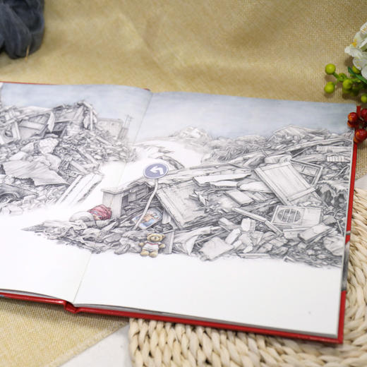 娃娃龙原创图画书 募捐时间 温暖治愈 商品图3