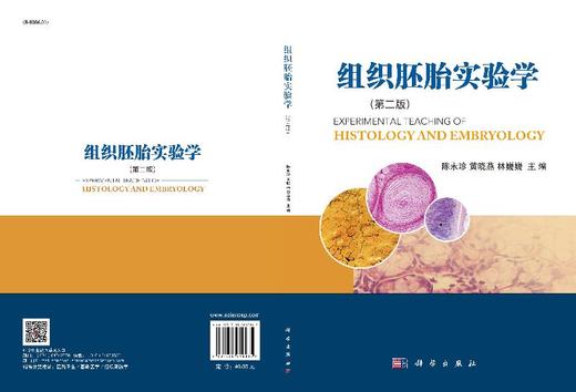 组织胚胎实验学（第二版） 商品图3