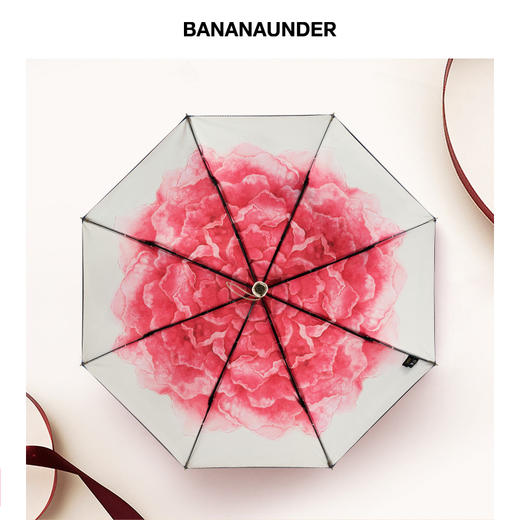 小黑伞300线系列雨伞太阳伞 商品图3