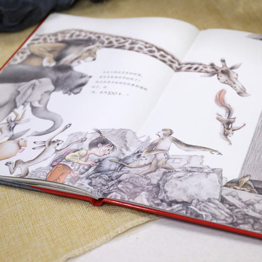 娃娃龙原创图画书 募捐时间 温暖治愈 商品图5