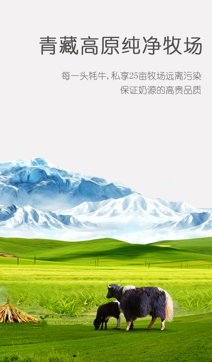 【西藏牦牛奶】200ml*12盒 高原之宝,牦牛奶 成人孕妇学生儿童牛奶 纯