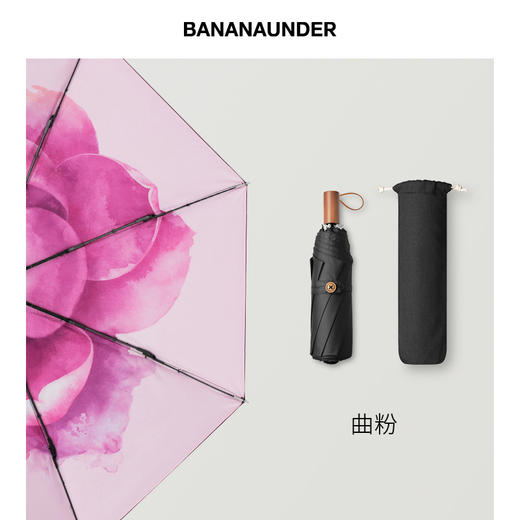 小黑伞250线系列遮阳伞雨伞 商品图3