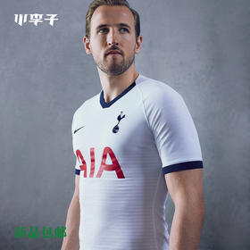 NIKE/耐克 19-20赛季 热刺主场男子球迷版球衣AJ5550101