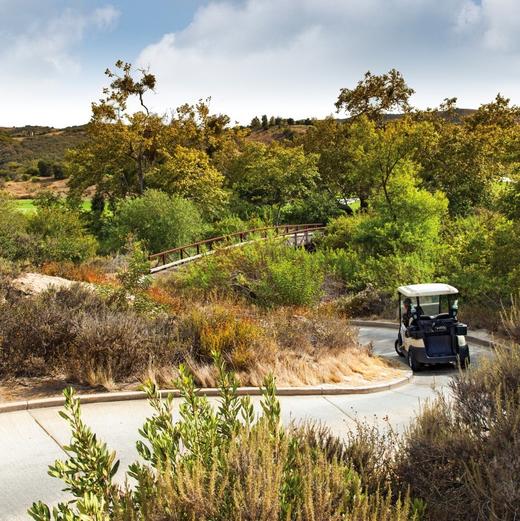 绿茵谷高尔夫俱乐部 Shady Canyon Golf Club | 加利福尼亚州高尔夫俱乐部 CA | 美国 商品图2