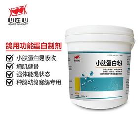 【小肽蛋白粉】1kg，补体蛋白拌鸽粮饲料氨基酸微量元素换羽（西安心连心）