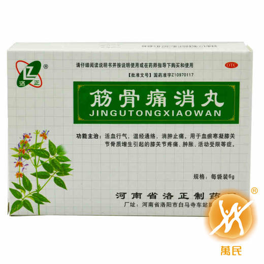 筋骨痛消丸  6g*12袋  河南省洛正有限责任公司 商品图0
