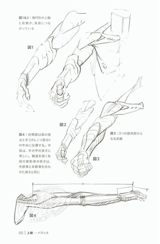 中商原版 用矩形和圆柱来画 Morpho人体素描 日文原版 箱と円筒で描く モルフォ人体デッサン ミニシリーズ 中商进口商城