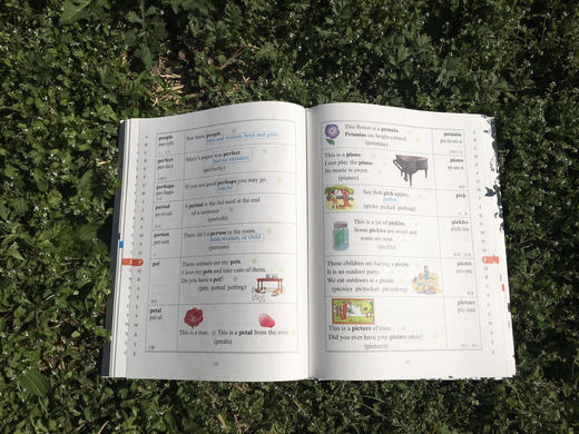 美国儿童标准单词例句手册（可点读） 商品图5