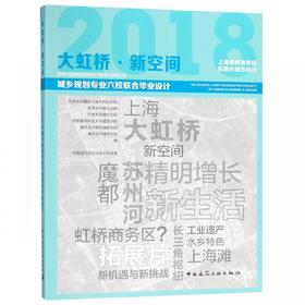城市规划六校联合毕设  大虹桥·新空间  上海虹桥商务区拓展片城市设计——2018年城乡规划专业六校联合毕业设计