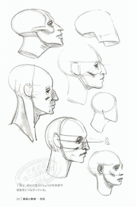 中商原版 用矩形和圆柱来画 Morpho人体素描 日文原版 箱と円筒で描く モルフォ人体デッサン ミニシリーズ 中商进口商城
