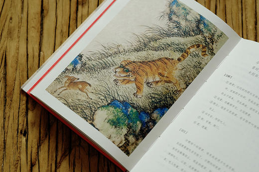 万物有故事（套装3册） 商品图5