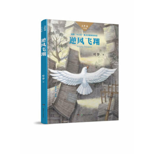 逆风飞翔 商品图0