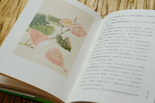 万物有故事（套装3册） 商品图10