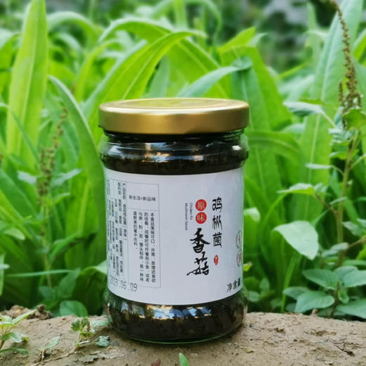 云南香格里拉 鸡枞菌菇酱 传统制作工艺 营养素酱 2瓶装 商品图2