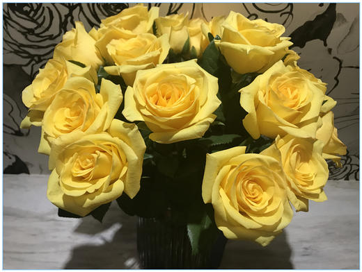 国产单头玫瑰花金枝玉叶10支 商品图0