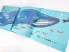 19年6月新书《鲸鱼可以长多长》儿童绘本 商品缩略图2
