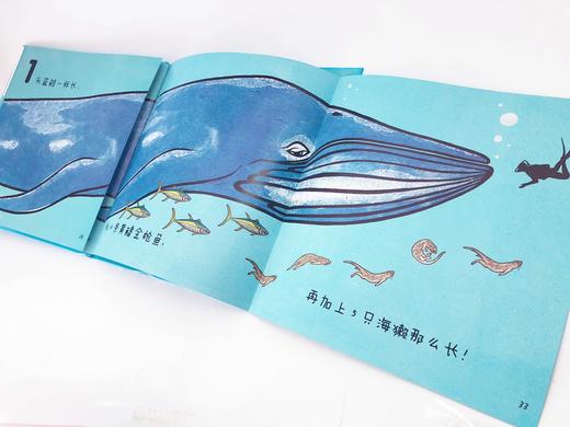 19年6月新书《鲸鱼可以长多长》儿童绘本 商品图2