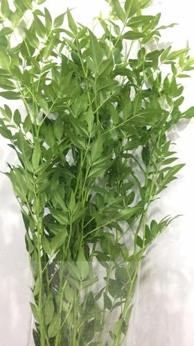 配叶-本地九星叶