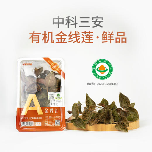 中科三安有机金线莲鲜品25g*2盒 商品图1