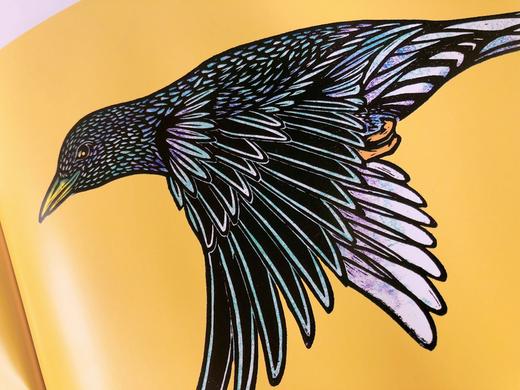 19年6月新书《瓢虫究竟有多重》儿童绘本 商品图3