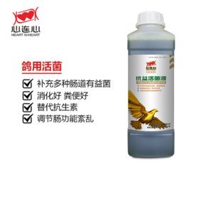 【优益活菌液】1000ml赛信鸽用品鸽子药肠道拉稀水绿便不消化活菌（西安心连心鸽药）