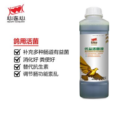 【优益活菌液】1000ml赛信鸽用品鸽子药肠道拉稀水绿便不消化活菌（西安心连心鸽药） 商品图0