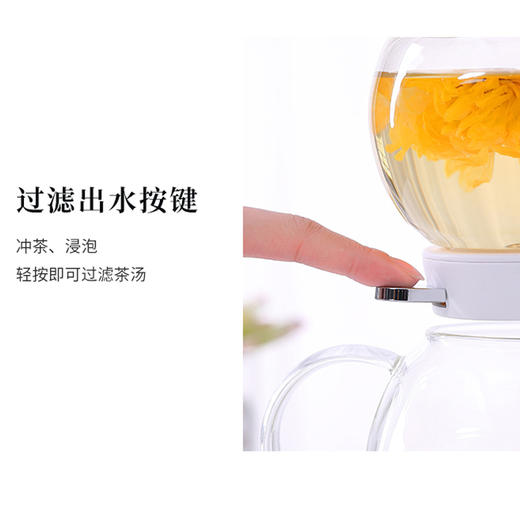 【茶渣分离 养生神器】鸣盏沙漏茶饮机 小型全自动加厚玻璃家用煮茶器MZ-1151 商品图5