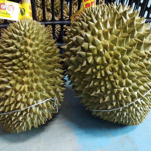 4872小时发货不接急单泰国巴掌猫山王托曼尼榴莲23斤包3房保留快递面