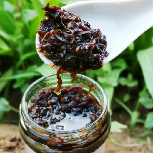 云南香格里拉 鸡枞菌菇酱 传统制作工艺 营养素酱 2瓶装 商品图0