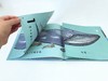 19年6月新书《鲸鱼可以长多长》儿童绘本 商品缩略图1