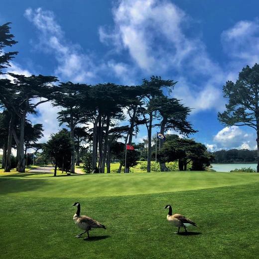 TPC哈丁公园高尔夫球场 TPC Harding Park | 旧金山高尔夫球场 | 加利福尼亚州高尔夫球场 | 美国高尔夫球场俱乐部 商品图0