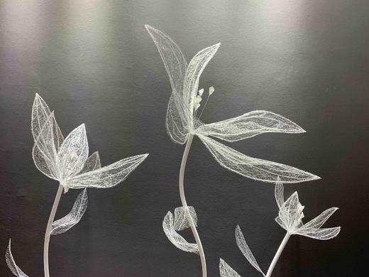 自由花【运费自理】 商品图6