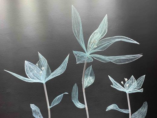 自由花【运费自理】 商品图7