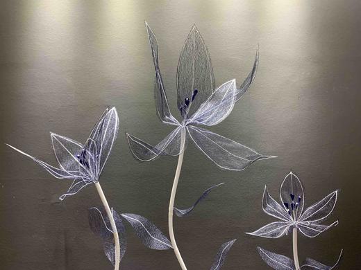 自由花【运费自理】 商品图3