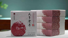 新品2019年天下云茶方砖熟茶 石昆牧老师定制 销法沱风味