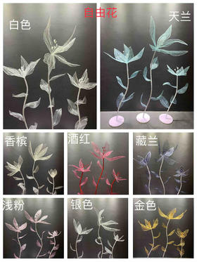 自由花【运费自理】