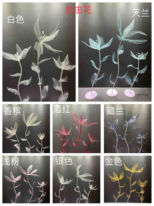 自由花【运费自理】 商品图0